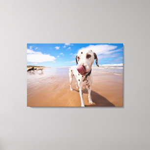 Dalmatiner-Hund auf Strand Leinwanddruck