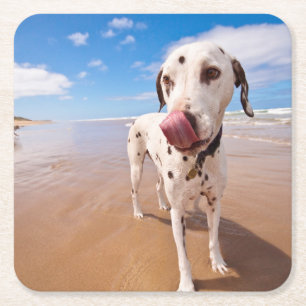 Dalmatiner-Hund auf Strand Rechteckiger Pappuntersetzer