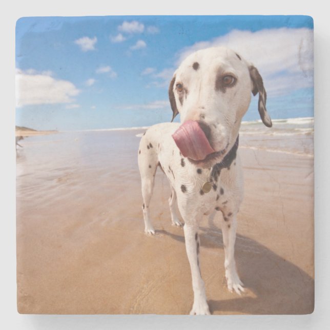 Dalmatiner-Hund auf Strand Steinuntersetzer (Vorderseite)