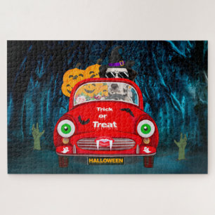 Dalmatiner Hund Autofahren Auto Beängstigend Hallo