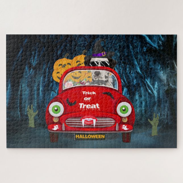 Dalmatiner Hund Autofahren Auto Beängstigend Hallo (Horizontal)