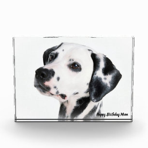 Dalmatiner Hund. Fotoblock
