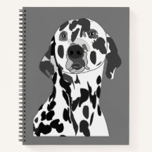 Dalmatiner Hund Haustier