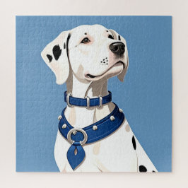 Dalmatiner Hund mit blauem Collar