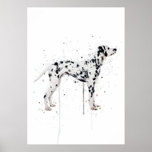 Dalmatiner Hund Poster