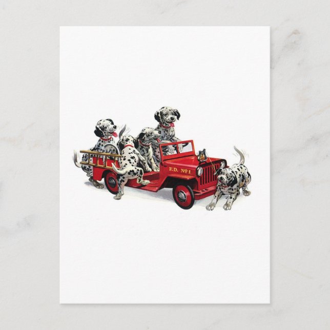 Dalmatiner Jungtiere mit Feuerwehrfahrzeugen Postkarte (Vorderseite)
