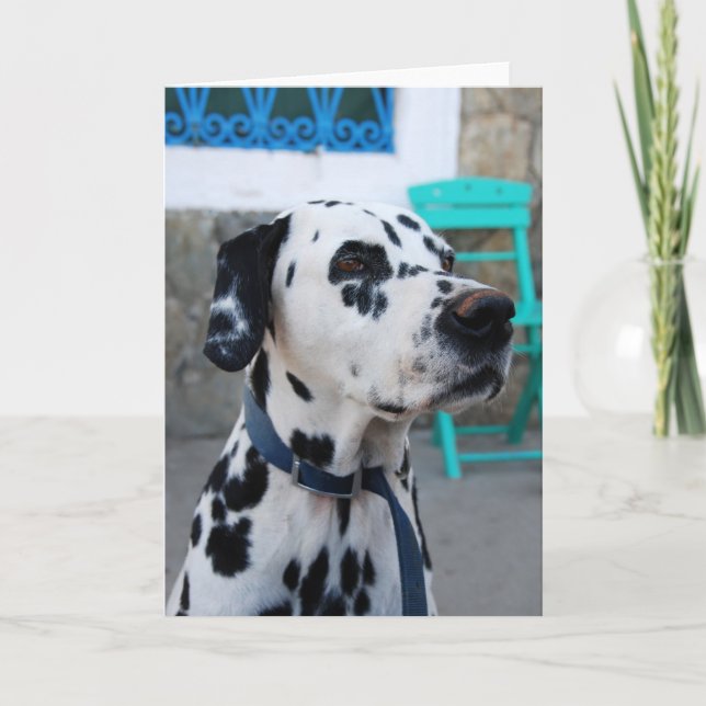 Dalmatiner Karte (Vorderseite)