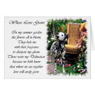 Dalmatiner Kunstgeschenke