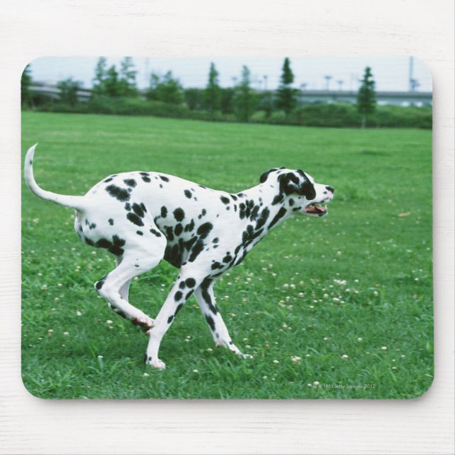 Dalmatiner Mousepad (Vorne)