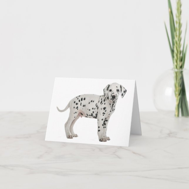 Dalmatiner Puppy Dog Hallo Danke Liebe, Entschuldi Karte (Vorderseite)