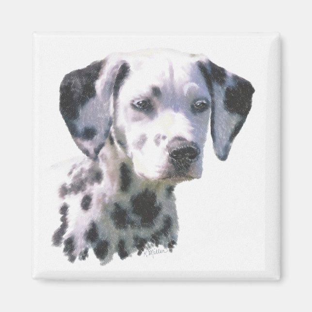 Dalmatiner Puppy Magnet (Vorne)