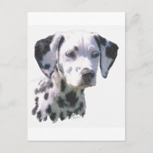 Dalmatiner Puppy Postkarte