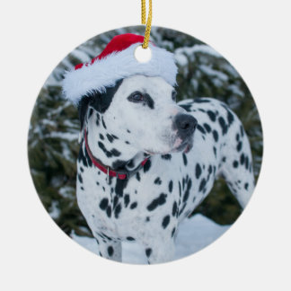 Dalmatiner-Sankt-Verzierung Keramik Ornament