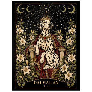 Dalmatiner, Sternen-Tarot-Kunst Postkarte
