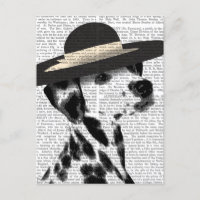 Dalmatiner und Brimmer Black Hat
