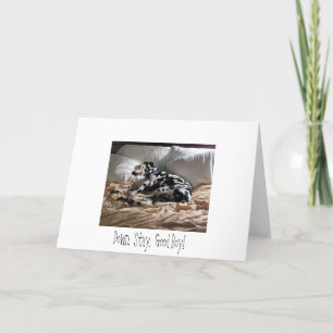 Dalmatiner.  Unten.  Bleibe Sie.  Guter Junge! Karte