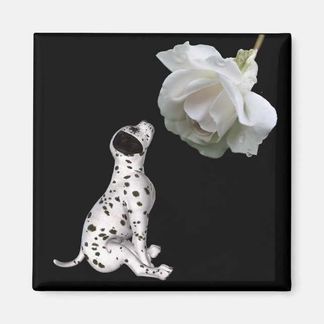 Dalmatiner Welpen und Weißrosen Magnet (Vorne)