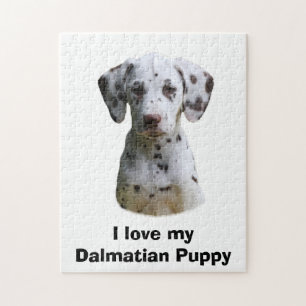 Dalmatiner Welpenhund Foto