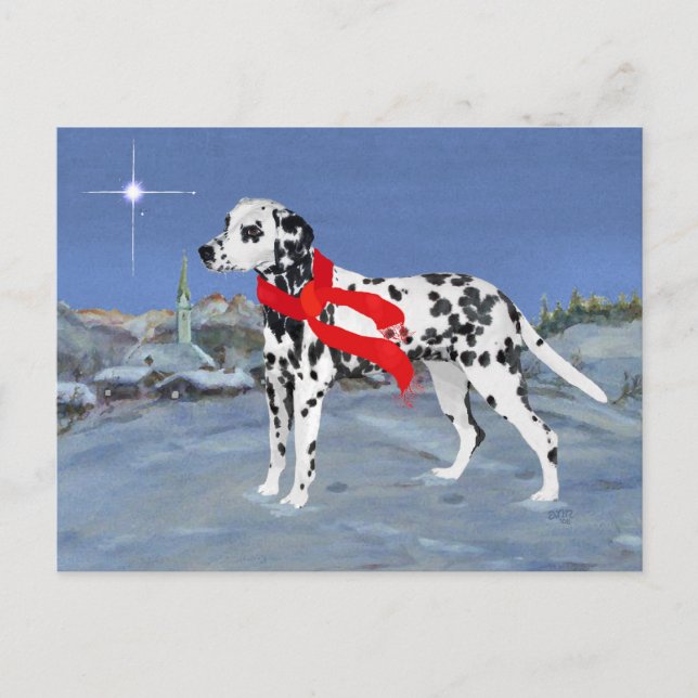 Dalmatiner Winternacht Postkarte (Vorderseite)
