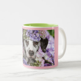 Dalmatinerhydrangea-Kaffee-Tasse Zweifarbige Tasse