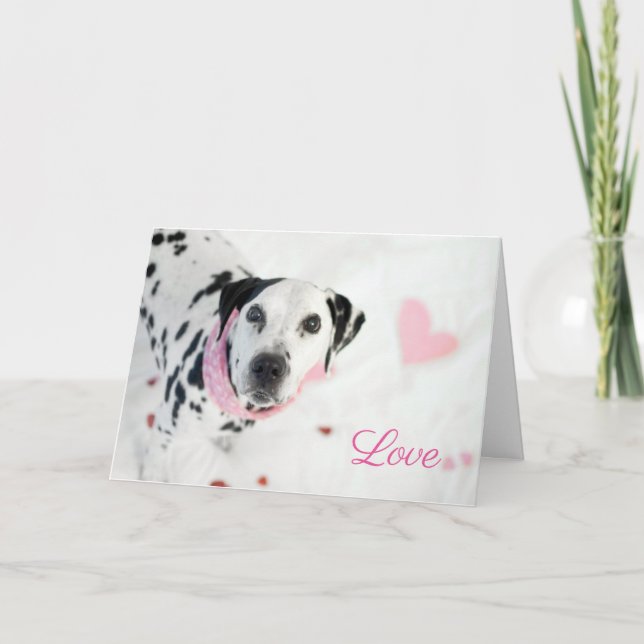 Dalmatinervalentines-Karte Feiertagskarte (Vorderseite)