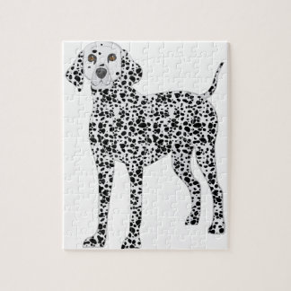Dalmation
