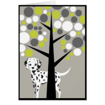 Dalmation chéri