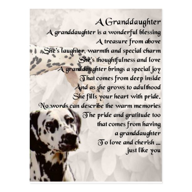 Gedicht Hund Poster Zazzle.ch