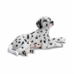 Dalmation Foto Stand-Oben Ausschnitt<br><div class="desc">Der beste dang Dalmatiner, der dort herausgeschnitten wird, ist. (Nicht wirklich aber wert Ihren Dollar)</div>