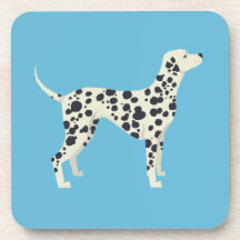 Dalmation