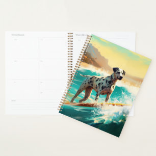 Dalmation Plage Surf Peinture