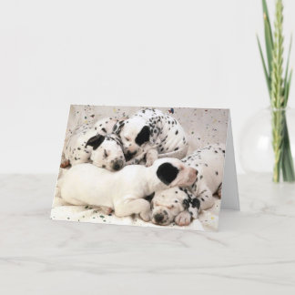 Dalmation_Puppies Karte