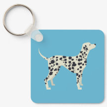 Dalmation