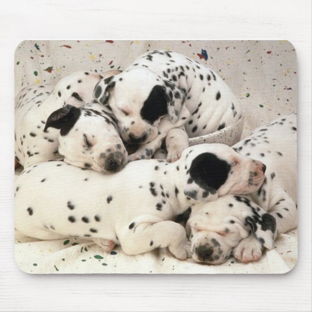 Dalmations Mousepad (Vorne)
