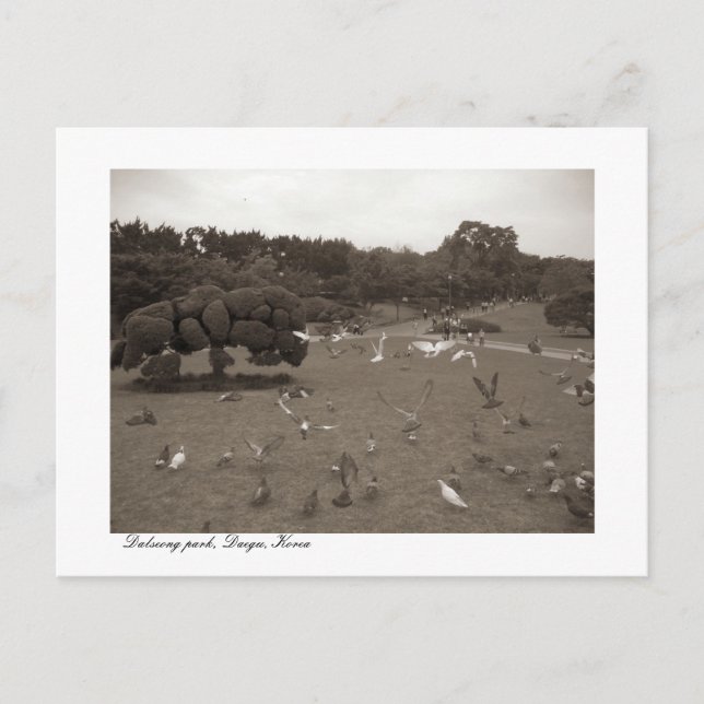 Dalseong Park, Daegu, carte postale de Corée du Su (Devant)