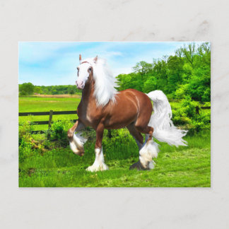 ‚Dalton‘ Postkarte