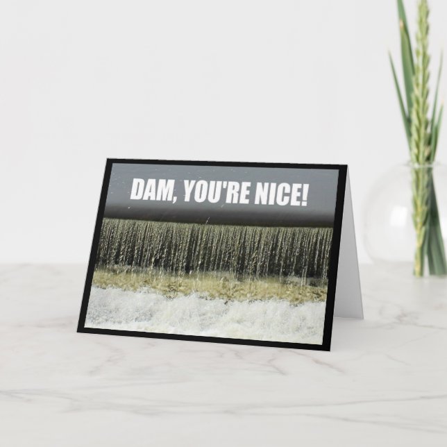 Dam, tu es sympa ! Carte de remerciements (Devant)