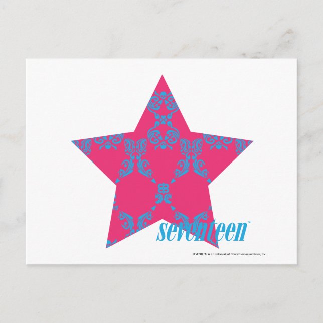 Damask Aqua-Magenta 2 Postkarte (Vorderseite)