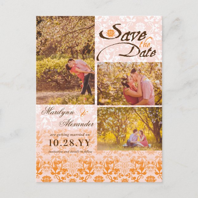 Damask Lace Sorbet Save the Date Foto Postkarte (Vorderseite)