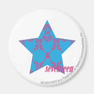 Damask Magenta-Aqua 2 Magnet