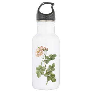 Damast-Rose (Rosa damascena aurora) von Redouté Trinkflasche
