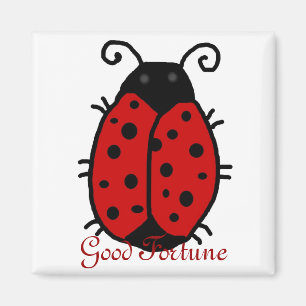 Dame Bug: Glück, Glückmagnet Magnet