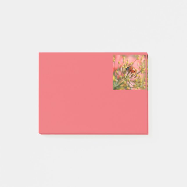 Dame Bug Notes Post-it Klebezettel (Vorderseite)