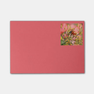 Dame Bug Notes Post-it Klebezettel