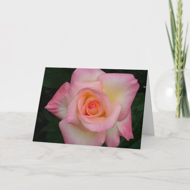 Dame Di Rose Karte (Vorderseite)