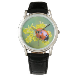 Dame oben armbanduhr