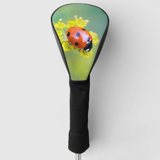 Dame oben golf headcover (Vorderseite)