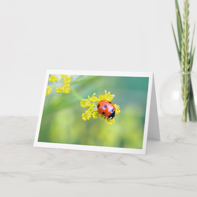 Dame oben karte (Vorderseite)