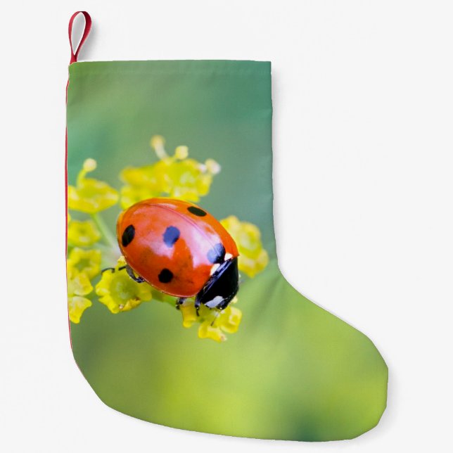 Dame oben kleiner weihnachtsstrumpf (Vorderseite)