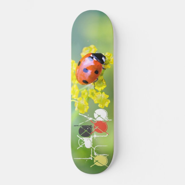 Dame oben skateboard (Vorderseite)